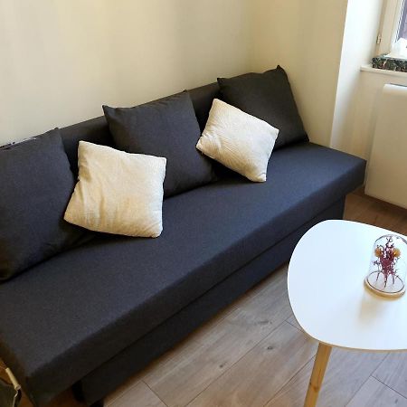 Appartement cosy entier, parking gratuit dans la rue Dijon Extérieur photo