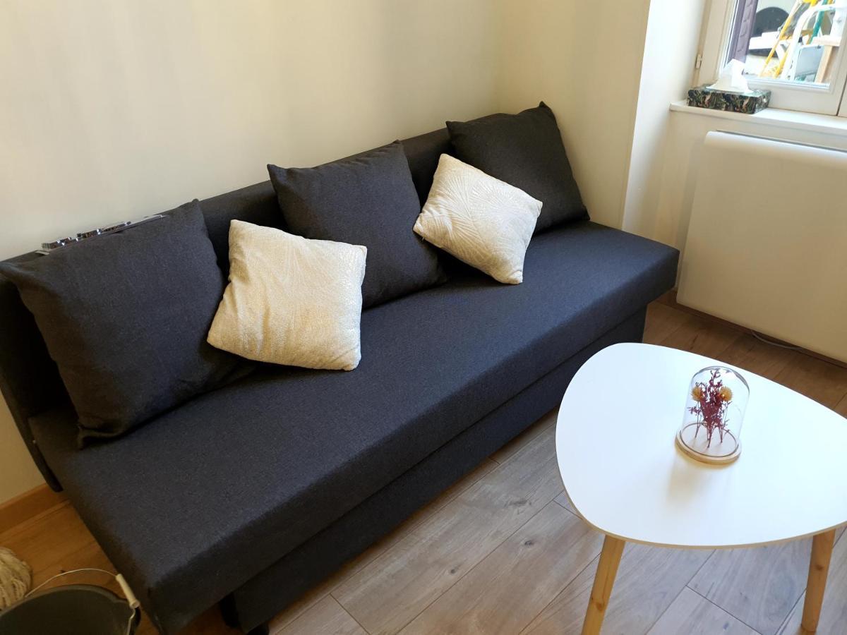 Appartement cosy entier, parking gratuit dans la rue Dijon Extérieur photo