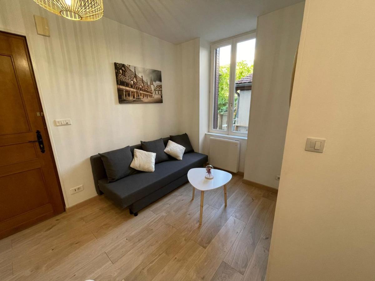 Appartement cosy entier, parking gratuit dans la rue Dijon Extérieur photo